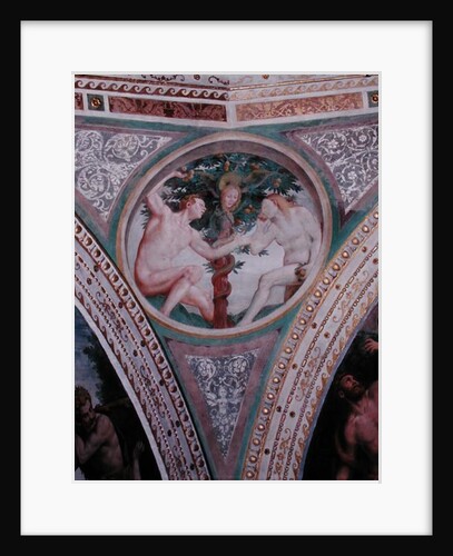 Original Sin by Bernardino Luini