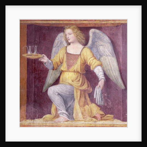 An Angel, 1525 by Bernardino Luini