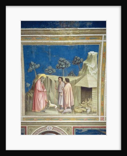 Joachim among the Shepherds, c.1305 by Giotto
