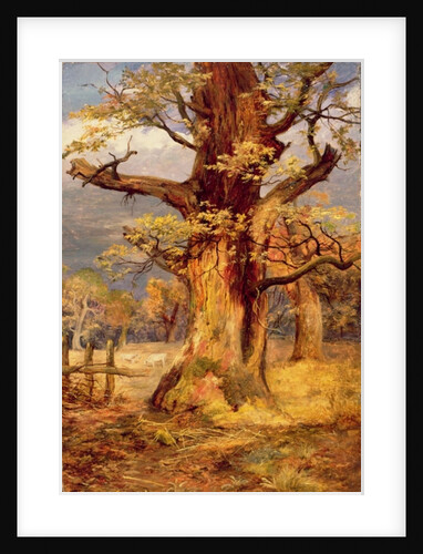 Blasted Oak, Galloway by James Jnr Faed