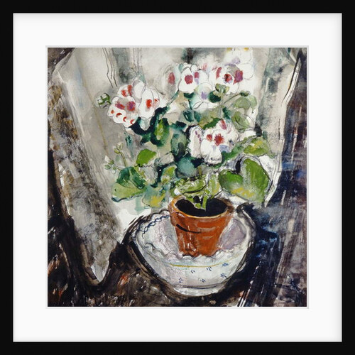 Pelargonium by Anne Redpath