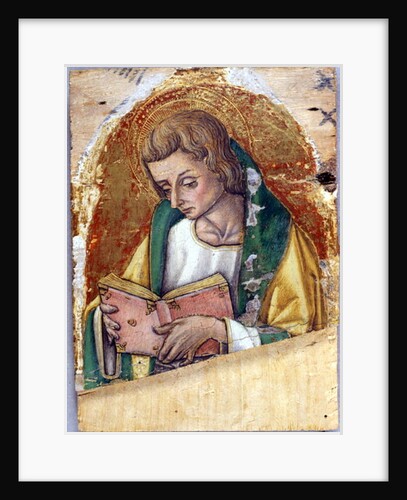 John the Evangelist, c.1500 by Vittorio Crivelli