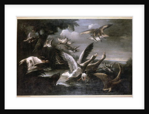 Eagle, Wild Geese and Dogs by German School