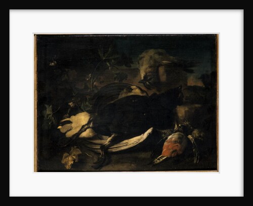 Dead fowl by Franz Werner Tamm