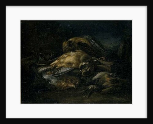 Dead Bird, 1664 by Giovanni Benedetto (1609-64) Castiglione