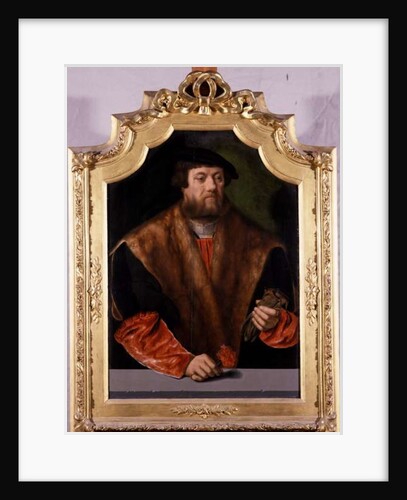Portrait of a Nobleman, 1544 by Bartholomaeus the Elder Bruyn