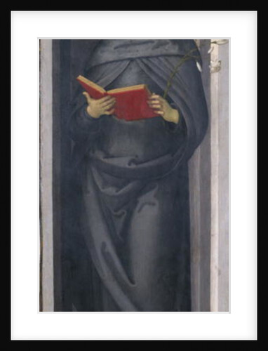 The Blessed Philip Benitius, c.1505-6 by Pietro Perugino