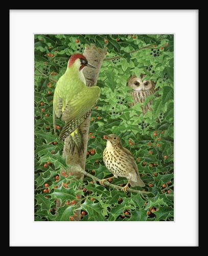 Woodpecker, Owl and Thrush by Birgitte Hendil