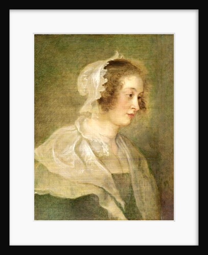 Head of a Young Woman by Peter Paul Rubens