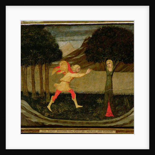 The Metamorphosis of Daphne by Master of the Judgement of Paris