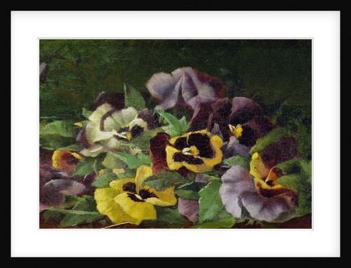 Pansies by Claude Raguet Hirst