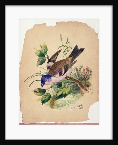 Bluebird on a Branch, 1871 by Claude Raguet Hirst