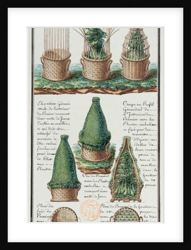 Illustration of a woven basket for transporting plants by Gaspard Duche de Vancy