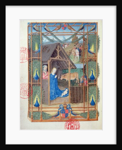 Ms 473 The Nativity with peacocks by French School