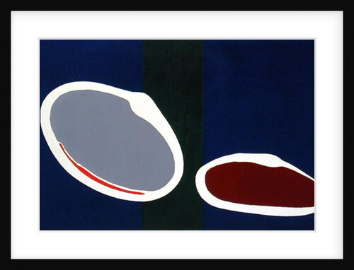 Go Discs II, 1999 by Colin Booth