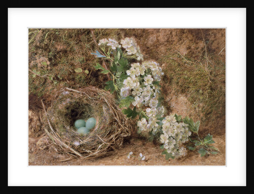 May Blossom and a Hedge Sparrow's Nest, 1845 by William Henry Hunt