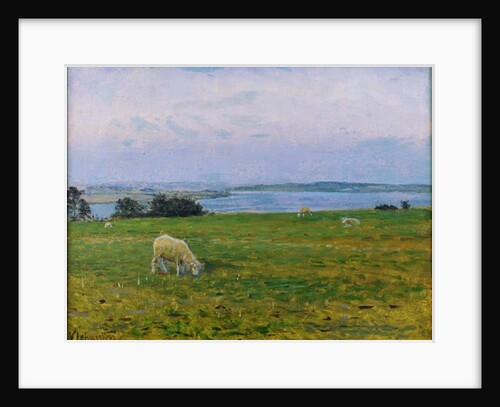 Sheep Grazing, Osterby, Skagen by Viggo Johansen