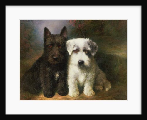 A Scottish and a Sealyham Terrier by Lilian Cheviot