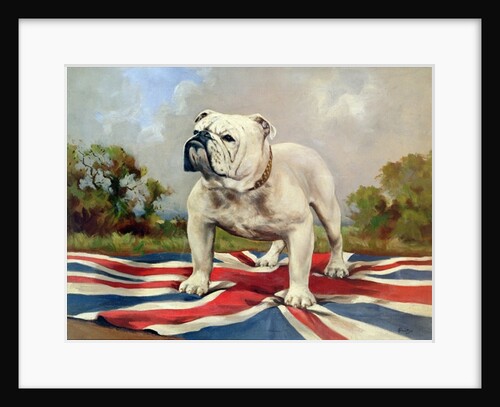 British Bulldog by English School