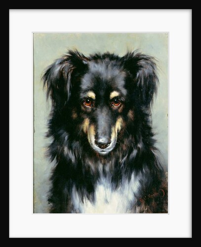 A Black and Tan Collie, 1890 by Robert Morley