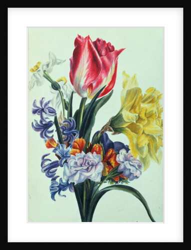 Spring Flowers, 1815 by Anne Hooke
