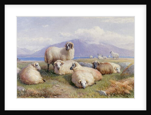 In the Heart of the Highlands by Henry Brittan Willis