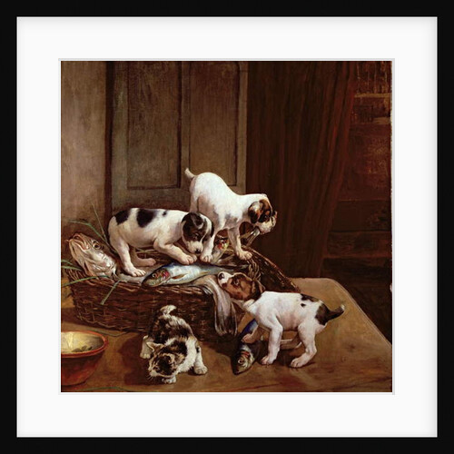 Tomorrow will be Friday by John Hayes