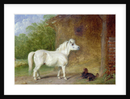 A Shetland pony and a King Charles spaniel by Martin Theodore Ward