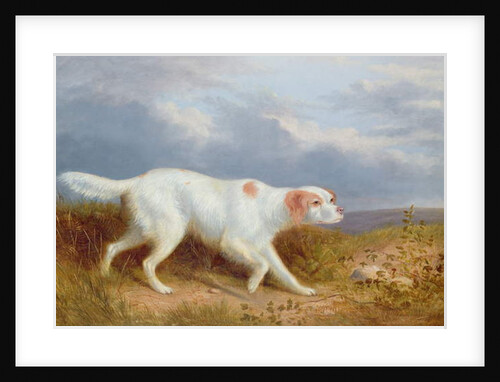A Setter on the Moor by Philip Reinagle