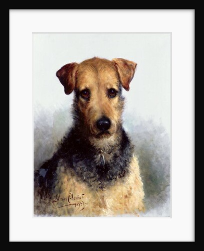 Wire Fox Terrier, 1933 by Lilian Cheviot
