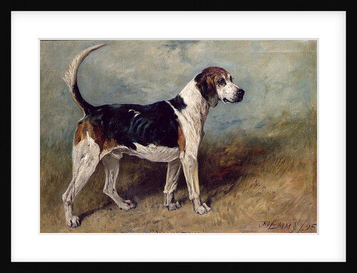 Moonstone, 1895 by John Emms