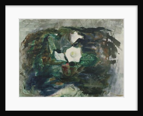 White Gloxinia, 1964 by Anne Redpath