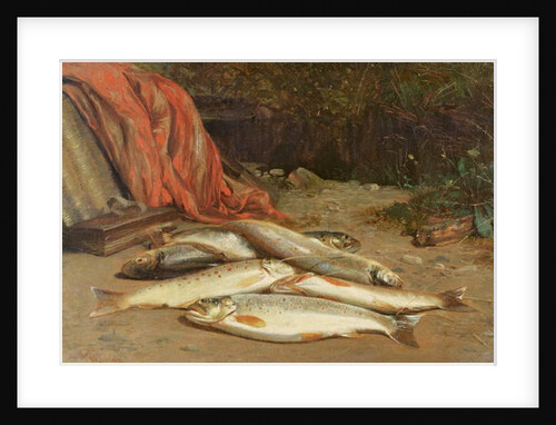 Brown trout on a river bank by William Geddes