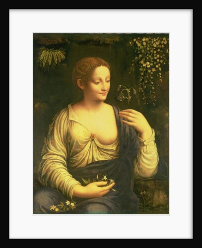 Flora, c.1520 by Francesco Melzi or Melzo