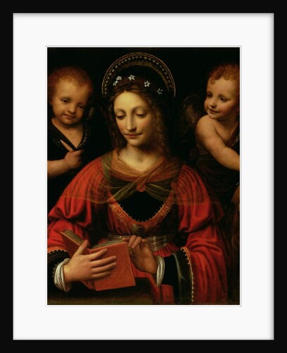 St. Catherine, 1527-31 by Bernardino Luini