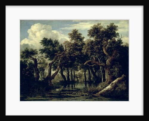 Landscape with an Oak, 1634 by Jan Josephsz van Goyen