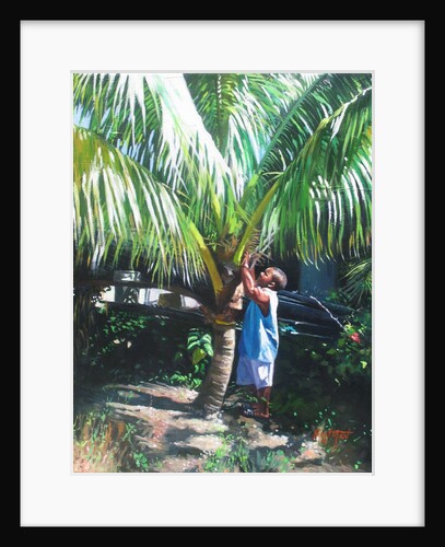 Coconut Shade, 2014 by Colin Bootman