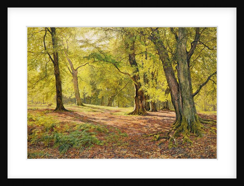 In the Beechwoods by William Samuel Jay