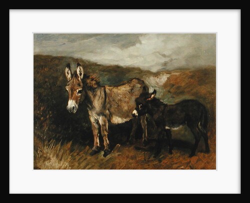 Donkeys out on the Moor, c.1890 by John Emms