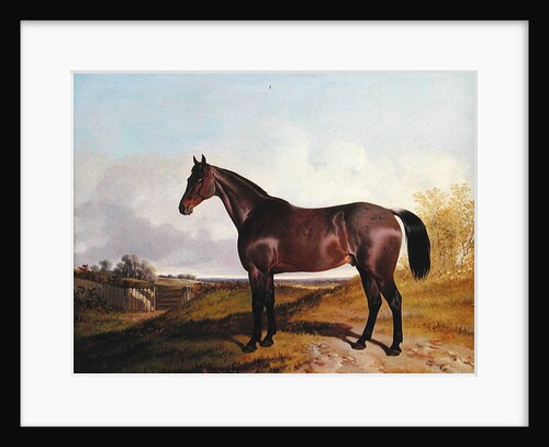 Study of a Bay Hunter in a landscape, 1854 by John Dalby