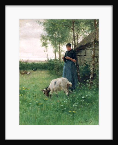A Dutch girl with goat and chickens, c.1910 by Willy Martens