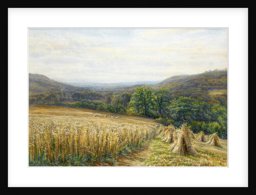 Harvest Time near Ashburton, 1884 by Edmund George Warren