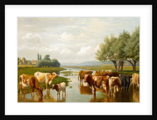 Cattle in a Water Meadow near Thanington, Kent, 1901 by William Sidney Cooper