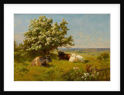 Cows in a Meadow, 1899 by Charles Collins
