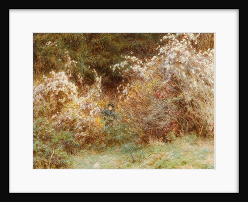 Traveller's Joy: A Surrey Hedgerow by Helen Allingham