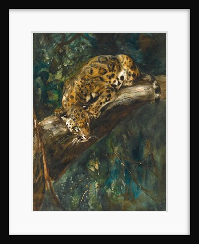 A Panther on a Branch by Cuthbert Edmund Swan