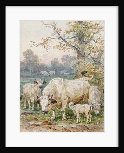 Park Cattle by August Specht