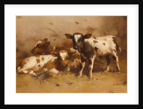 Three Calves in a Barn by David Gauld