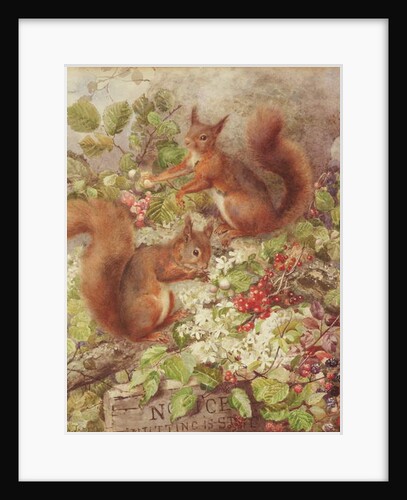 Red Squirrels Gathering Fruits and Nuts by Rosa Jameson