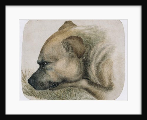 Keeper - from life, 1838 by Emily Bronte